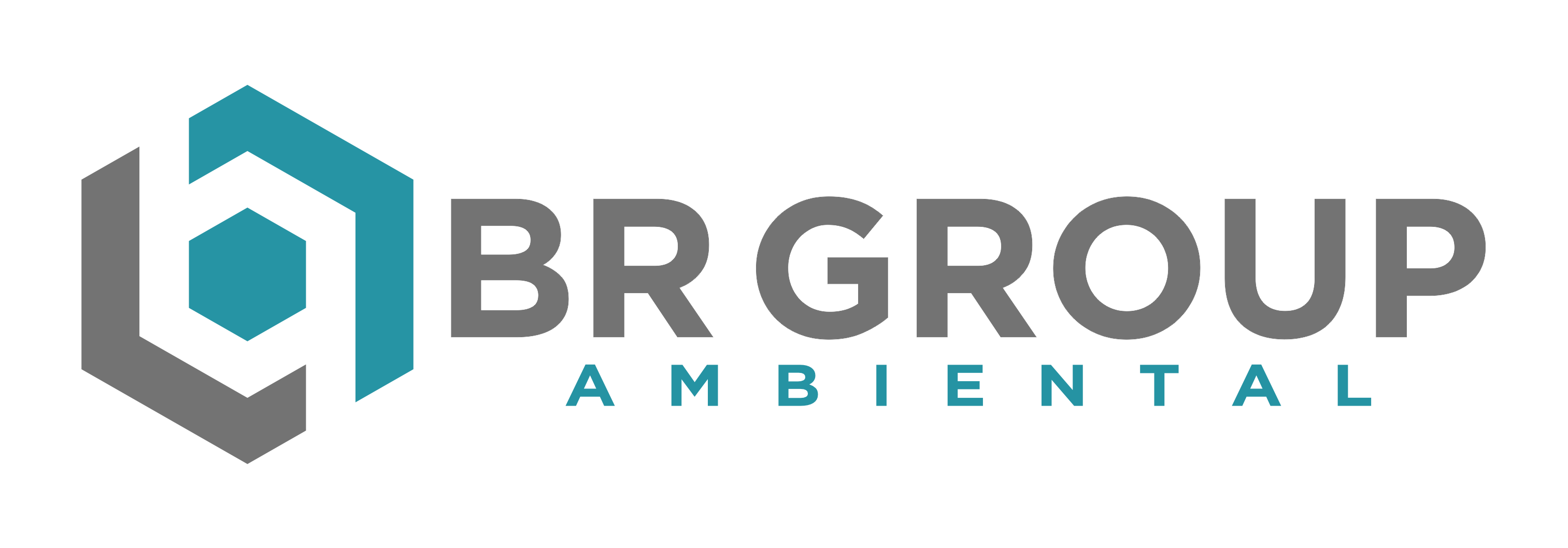 BR Group Ambiental